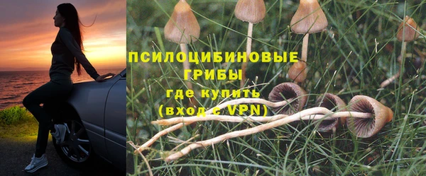 PSILOCYBIN Нефтегорск