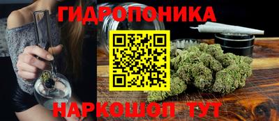 крисы Заводоуковск