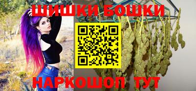 крисы Заводоуковск