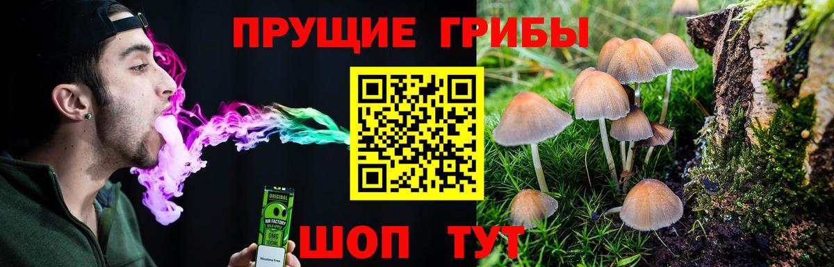 Приморско-Ахтарск  цены наркотик  Вход с VPN  Галлюциногенные грибы прущие грибы 