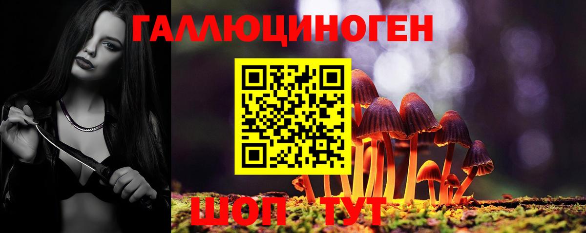 Псилоцибиновые грибы мухоморы Приморско-Ахтарск